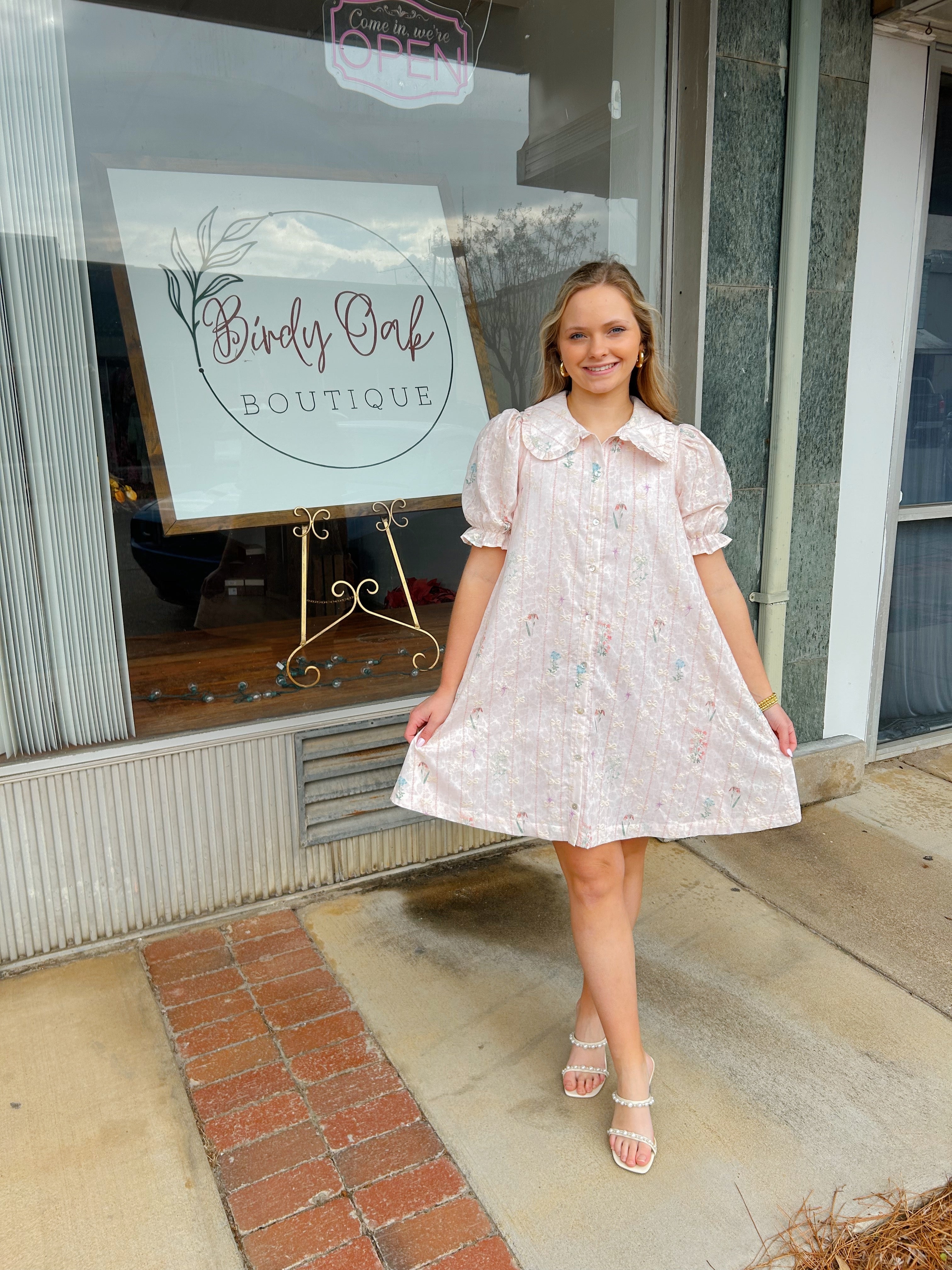 Peter Pan Embroidered Dress