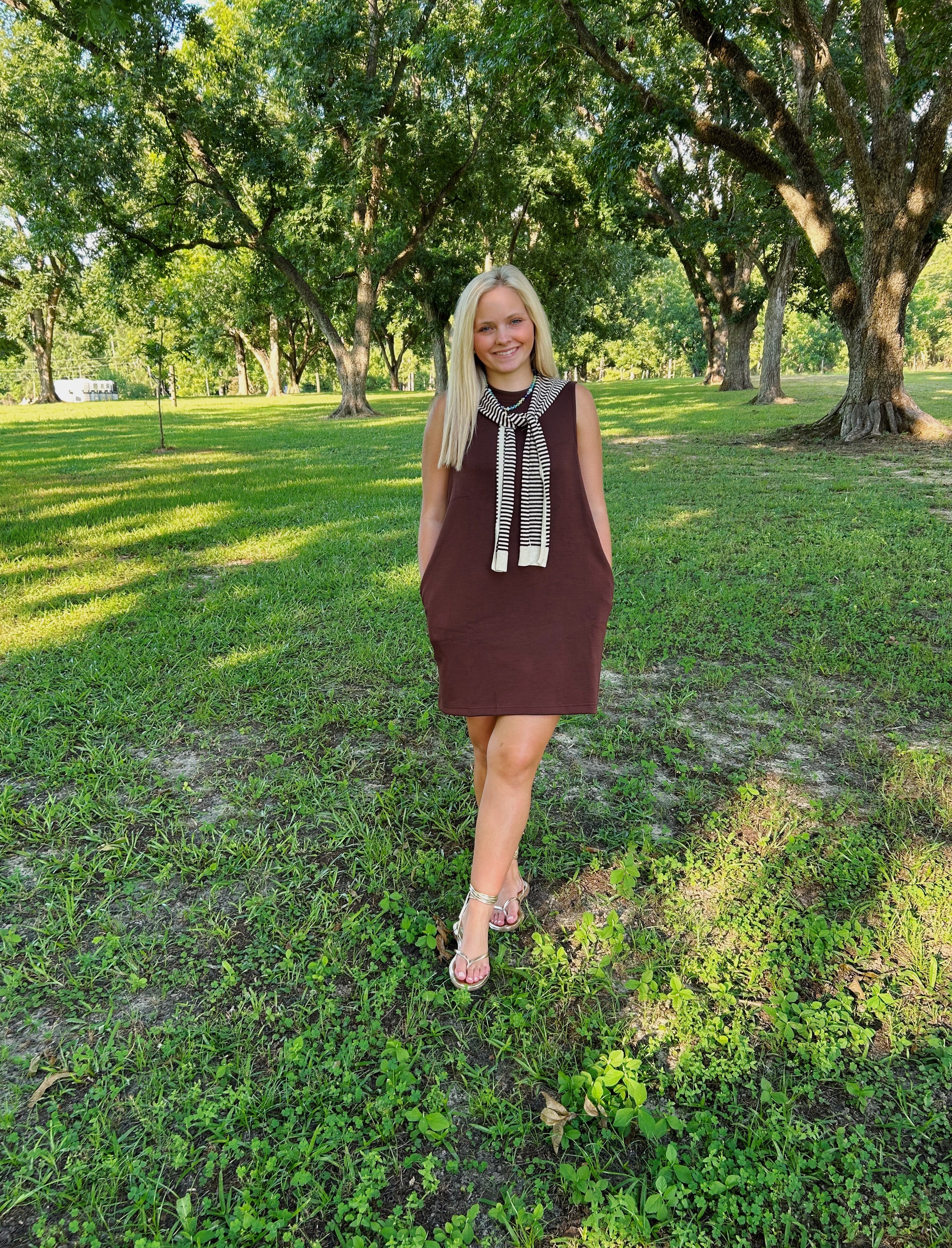 Mocha Morning Shift Dress